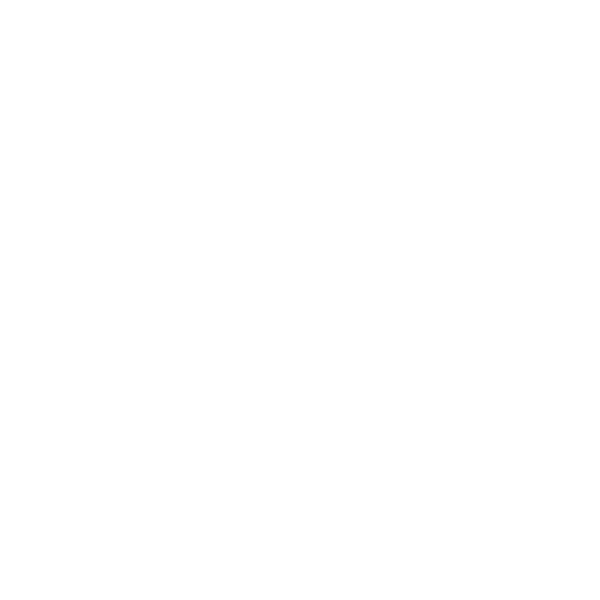 THE VIEW