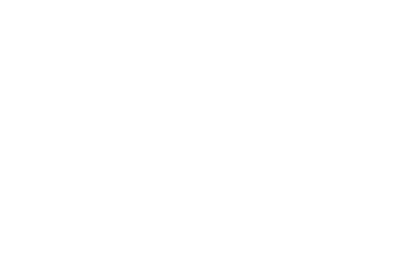 THE VIEW